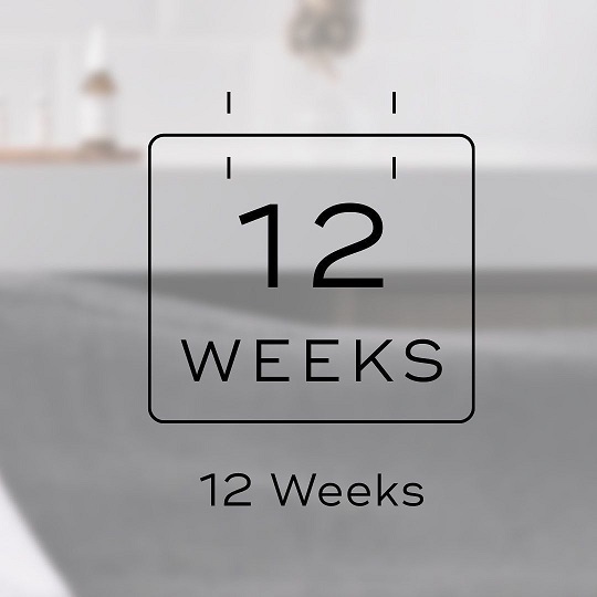 12 weeks